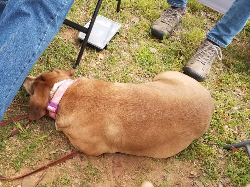 20230420_120421_800x600